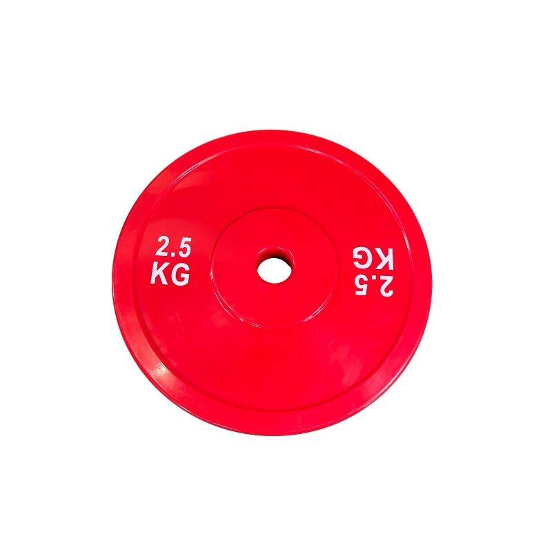 Bolt strength technique plate 2.5kg